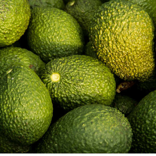 Tratament hidratant si revitalizant Skala Avocado 1000g