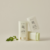 Stick mat pentru fata cu protectie solara SPF50+ Beauty Of Joseon Mugwort + Camelia 18g